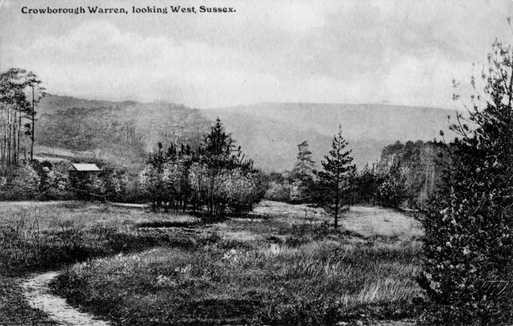 Crowborough Warren - 1910