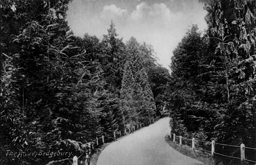 The Drive, Bedgebury - 1919