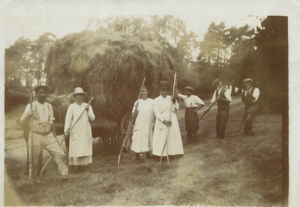 William Puxty (right) haymaking, Flimwell  - c 1910