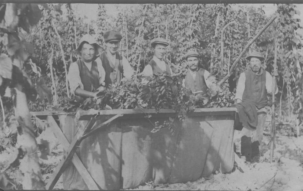 Hop-picking - c 1910