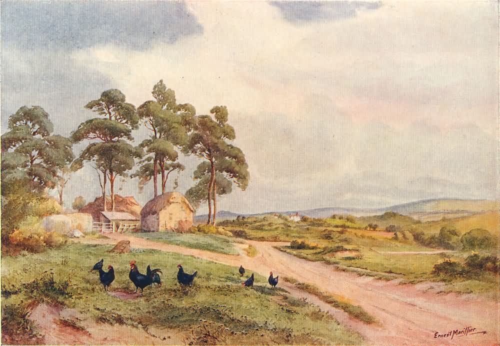 Crowborough Common - 1911