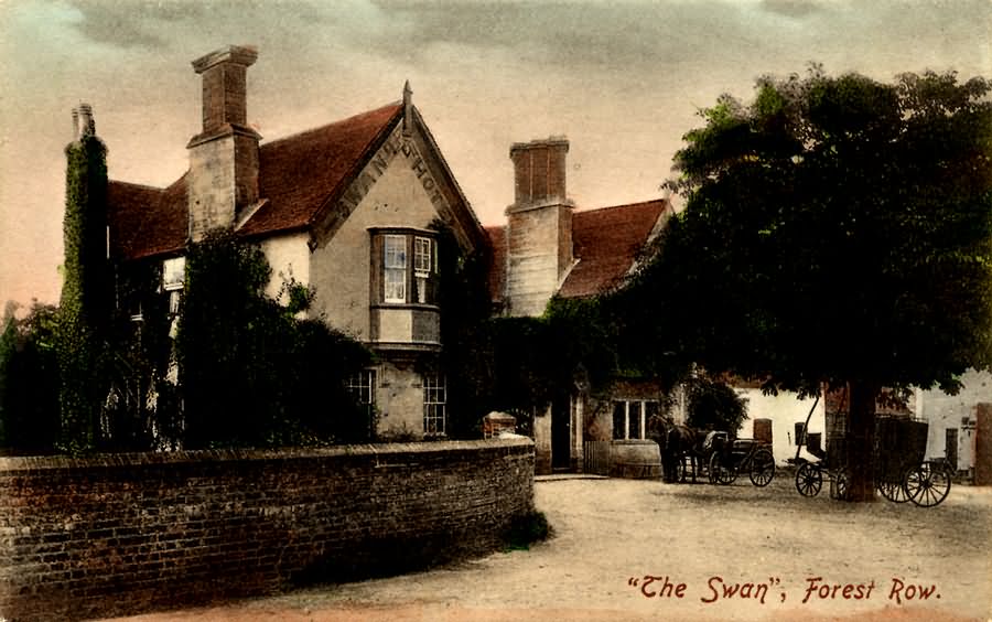 The Swan - 1908