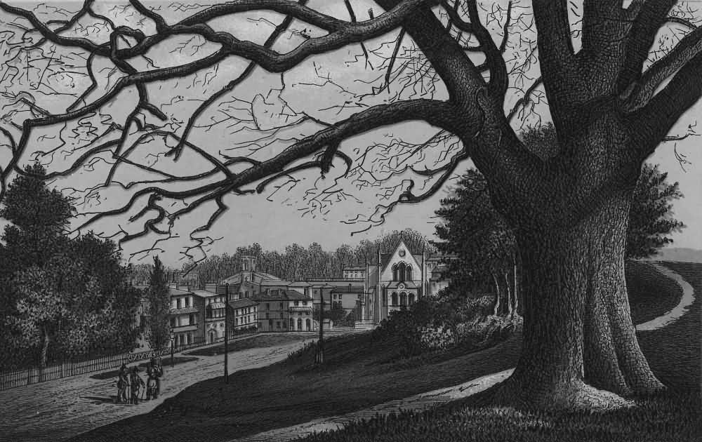 The London Road - 1889