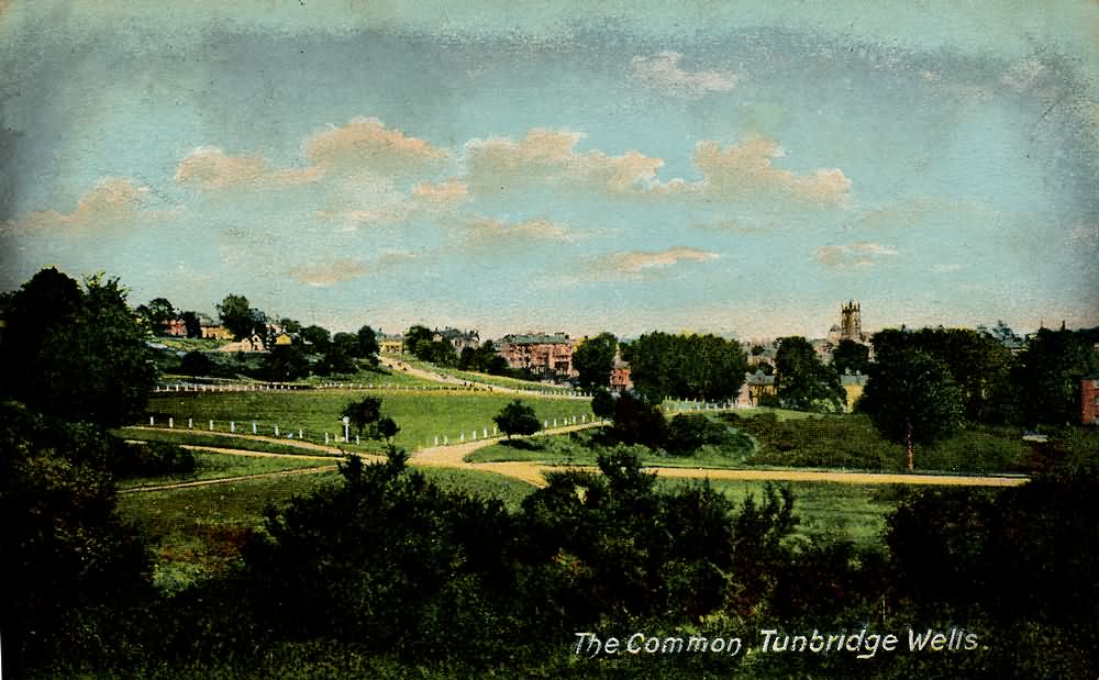 The Common - 1905