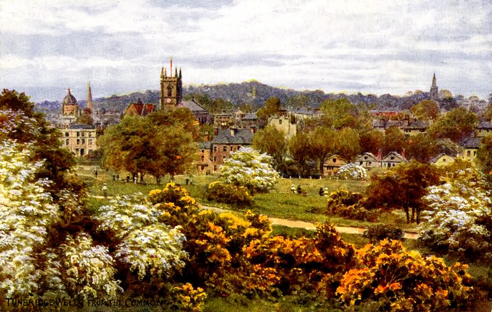 The Common - 1917