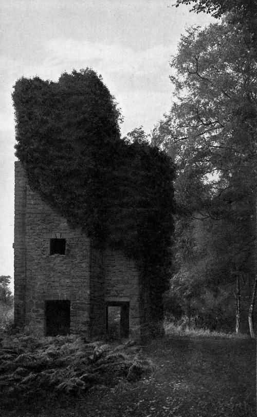 The Tower - 1911