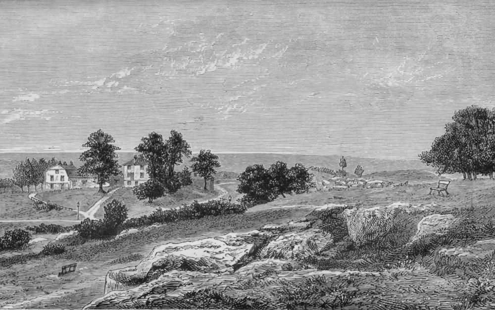 The Common near Mount Edgecumbe - 1880