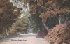 Bayham Abbey Road