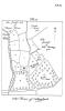 Buckhurst Terrier - The Manor of Collingherst - c 1595