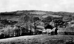 Pooks Hill in 1938